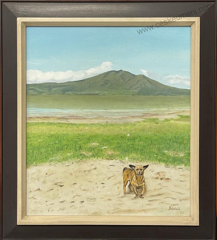 Poledník Petr: Lake Chapala a Chubi