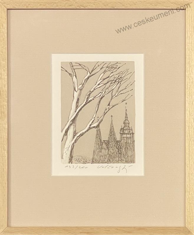 Velčovský Josef: Katedrála