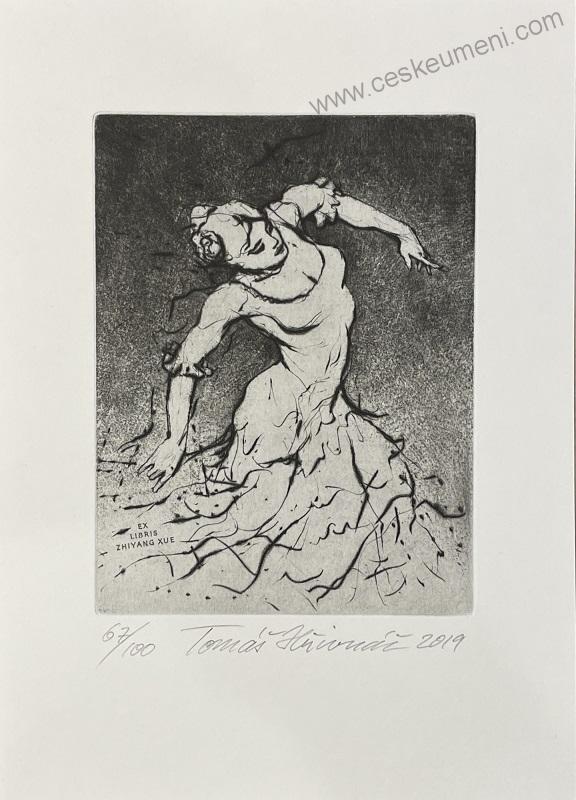 Hřivnáč Tomáš: Flamenco (černobílé)