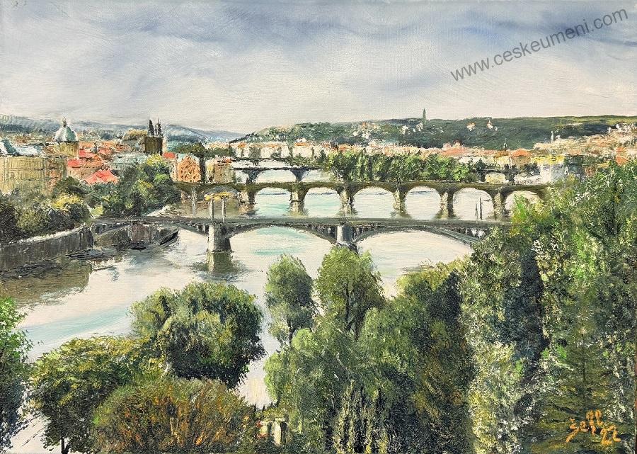 Šefl Pavel: Praha - Mosty