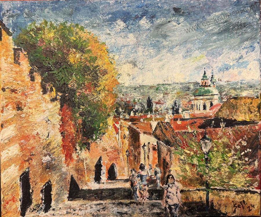 Šefl Pavel: Praha - Zámecké schody