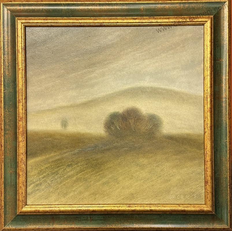 Vacek Pavel: Krajina