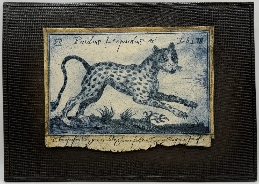 Martinec Stanislav: Malý leopard