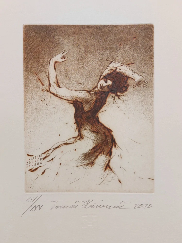 Hřivnáč Tomáš: Flamenco /otočka/ (Exlibris)
