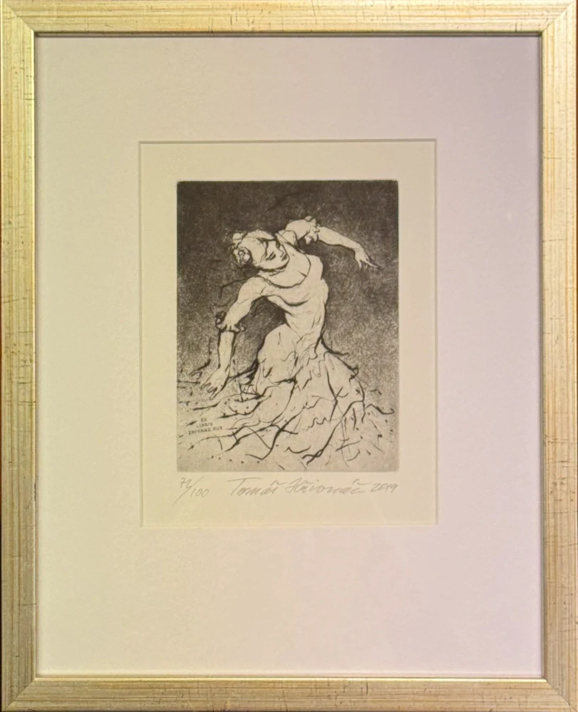 Hřivnáč Tomáš: Flamenco (černobílé)