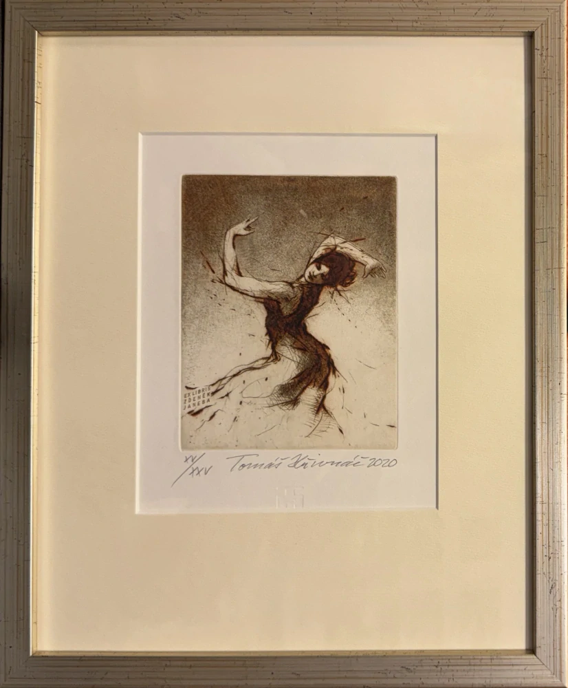 Hřivnáč Tomáš: Flamenco (otočka)