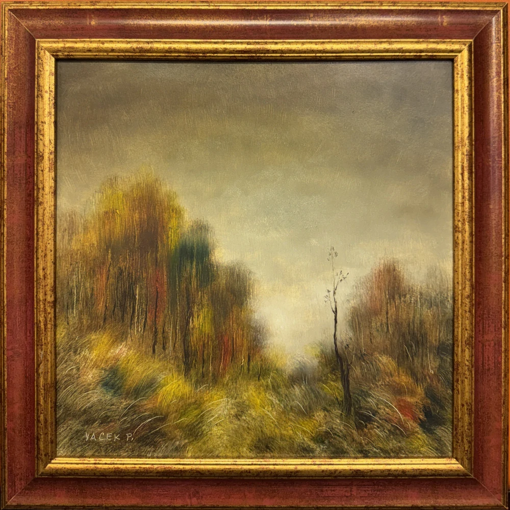 Vacek Pavel: Z toulek