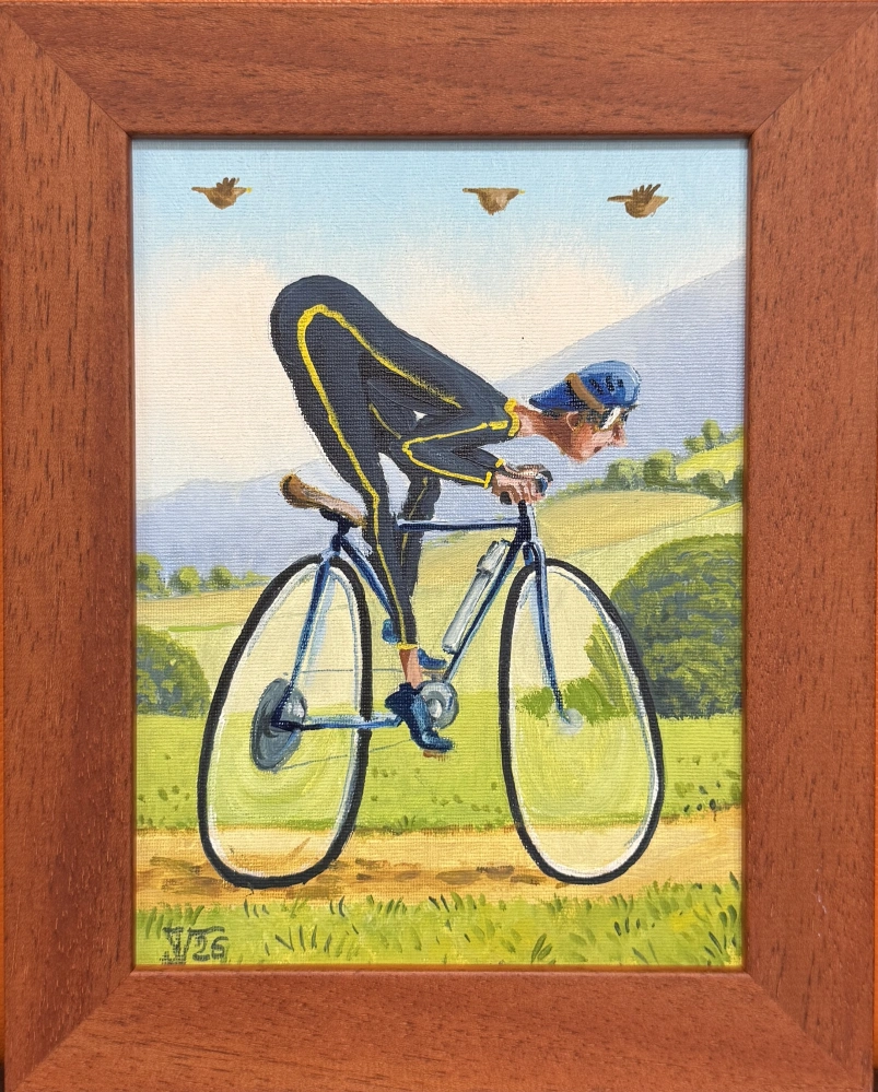 Vidlák Jiří: Zdivočelý cyklista