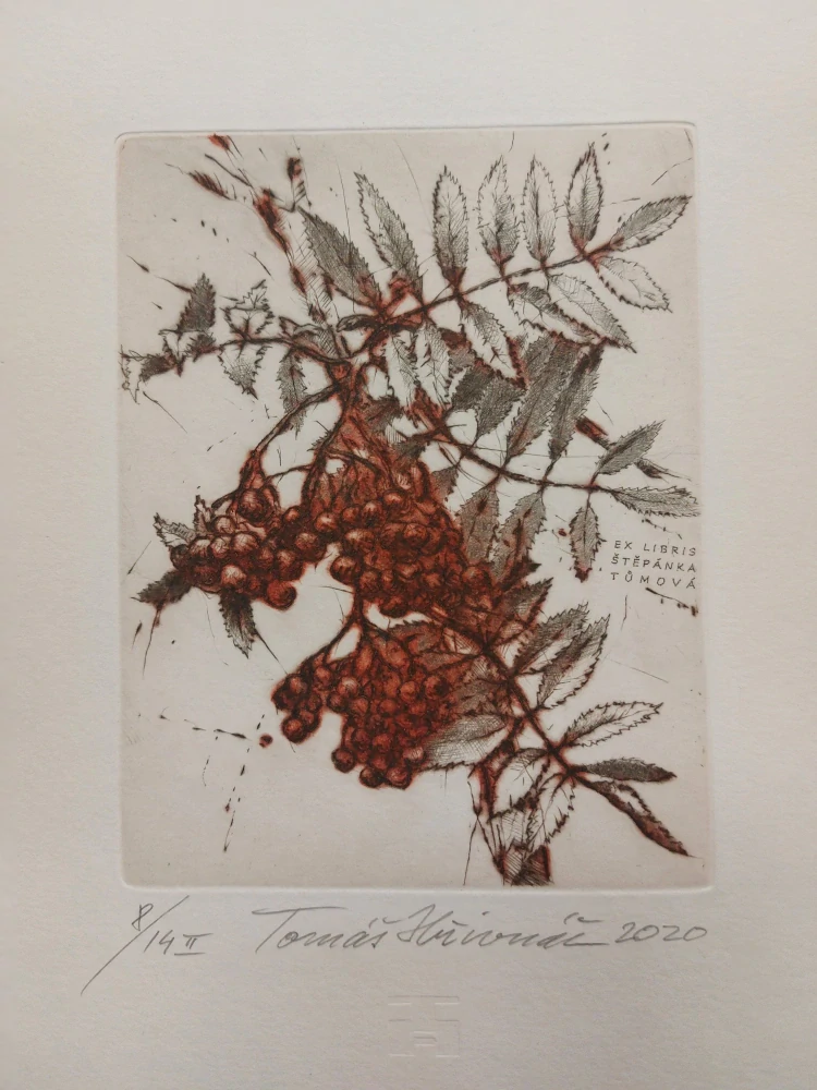 Hřivnáč Tomáš: Jeřabiny (Exlibris)