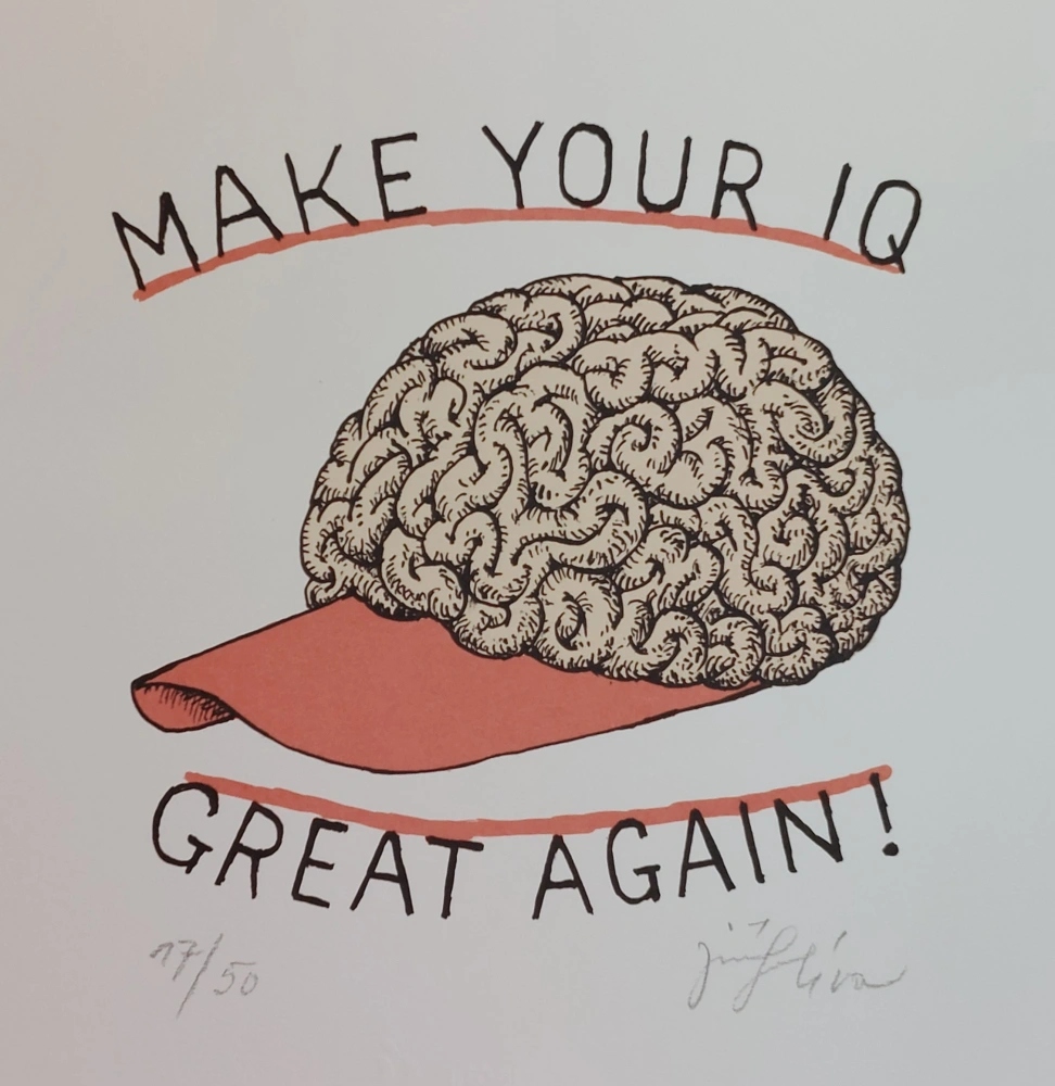 Slíva Jiří: Make your IQ great again