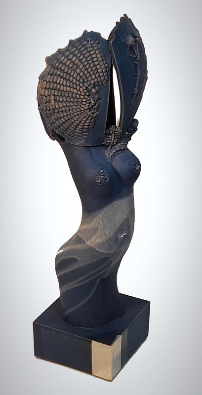 Dudycha Jiří: Torzo