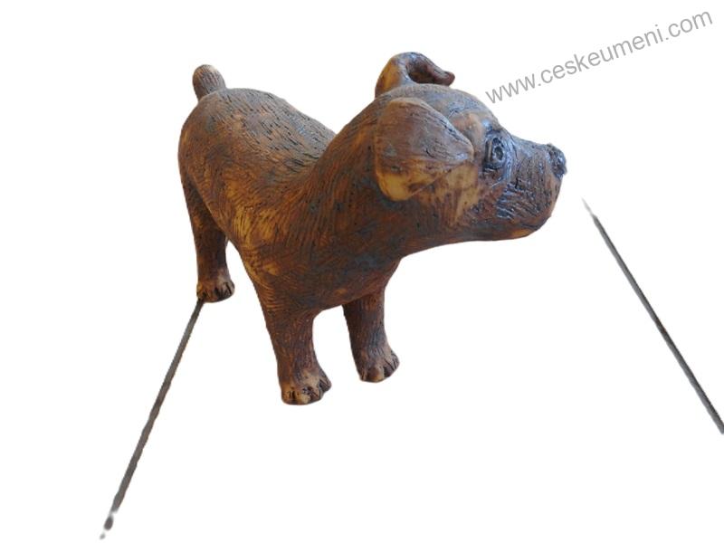 Alferiová Alena: Jack Russell teriér