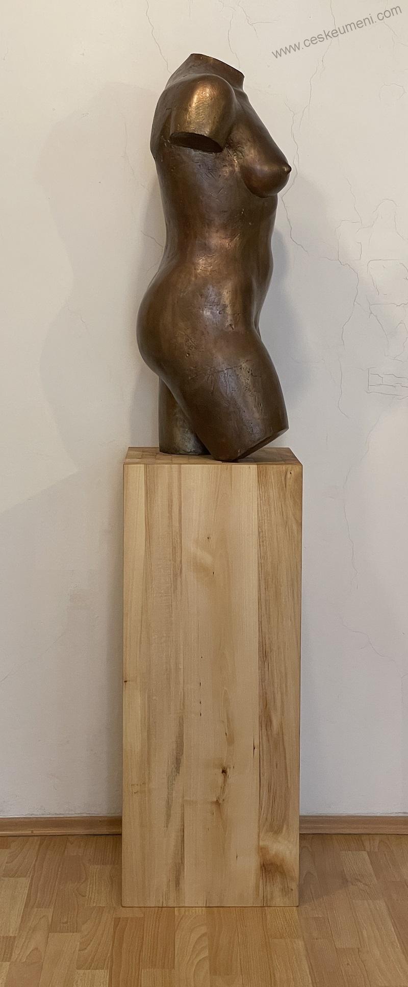 Bocker Jaroslav: 1970 Torzo