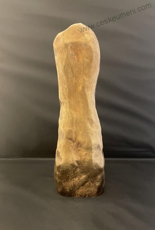 Žilík Václav: Torzo