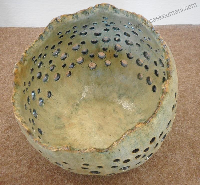 Hejhalová Veronika: Skořepina děrovaná velká na nožičkách