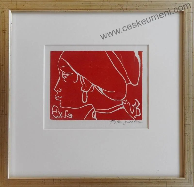 Janeček Ota: Hlava dívky