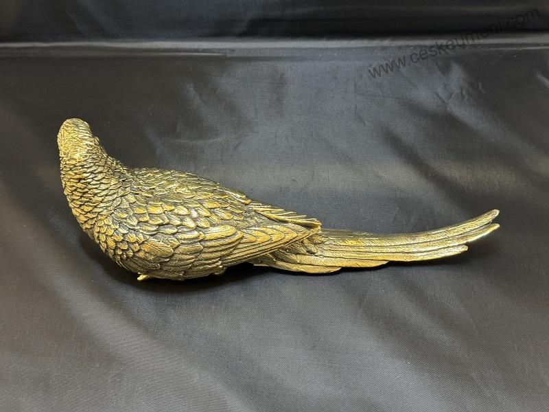 Garguláková Ivana: Papoušek