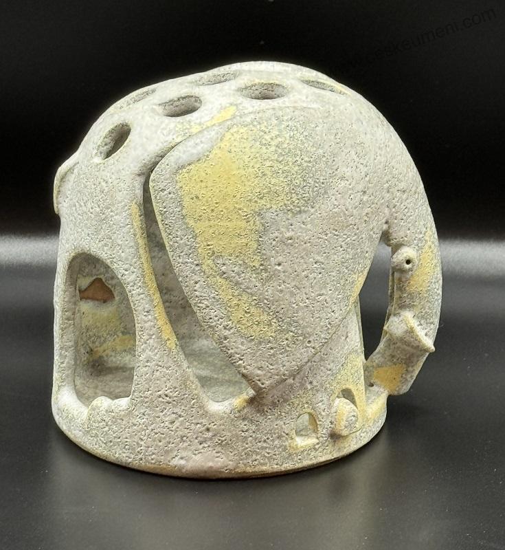 Nožičková Petra: Tužkovník slon světlý