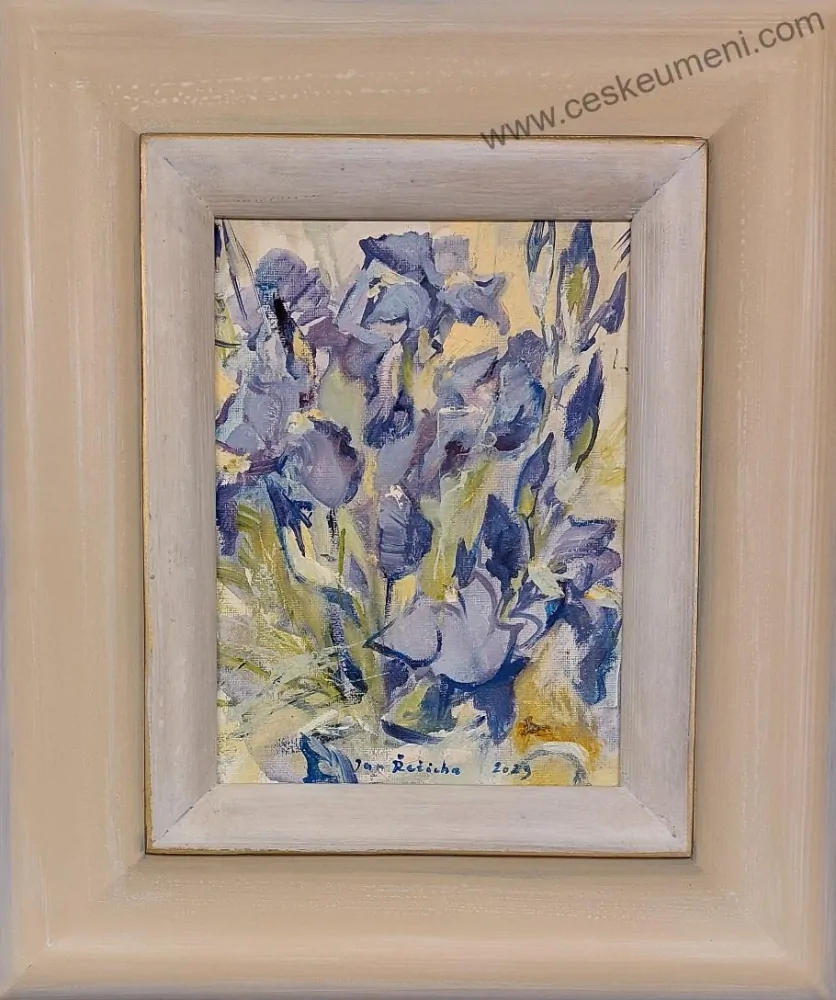 Řeřicha Jan: Malé modré kosatce