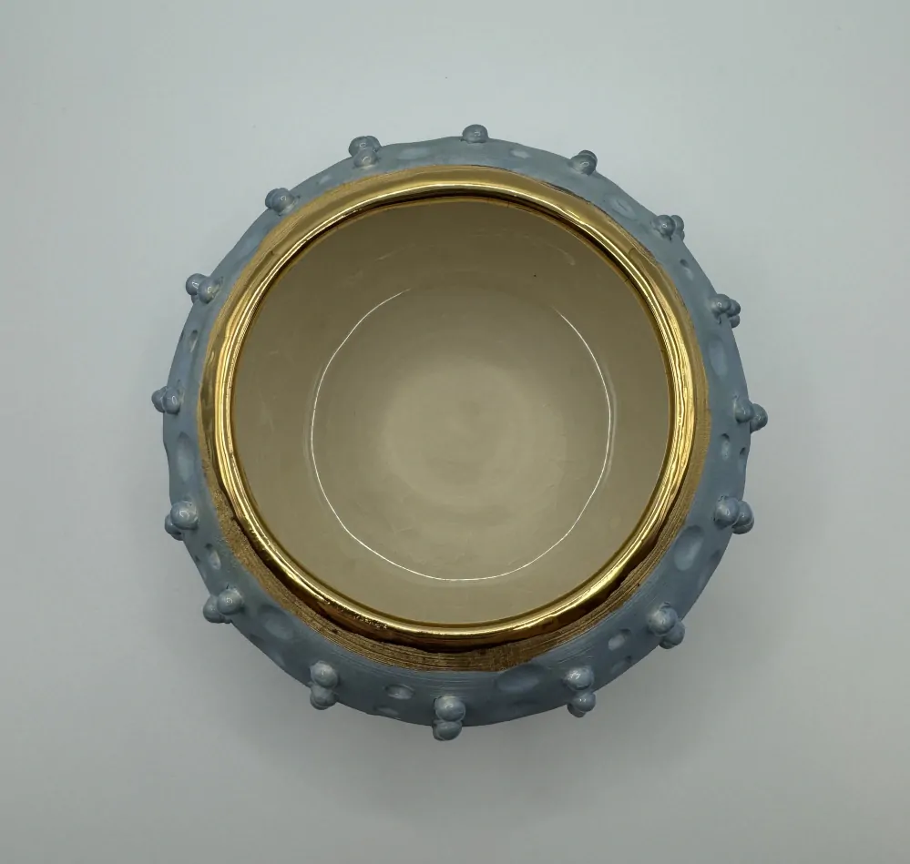 Čejková Darja: Miska mořský ježek