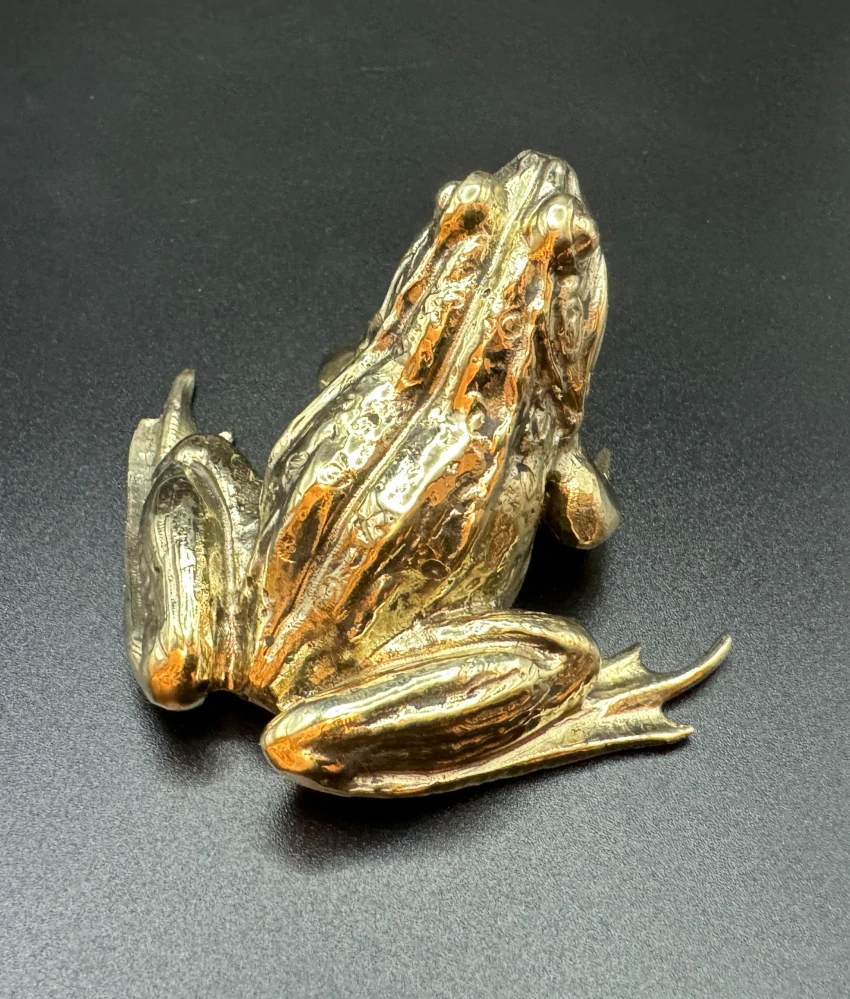 Garguláková Ivana: Žába