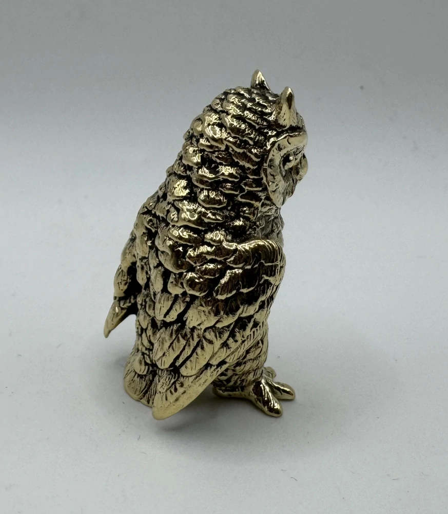 Garguláková Ivana: Sovička střední