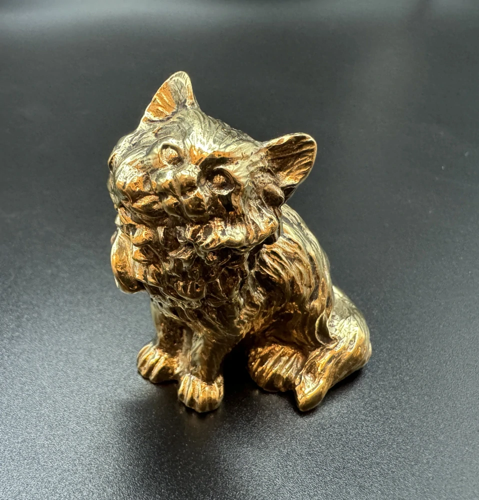 Garguláková Ivana: Kočka s mašlí