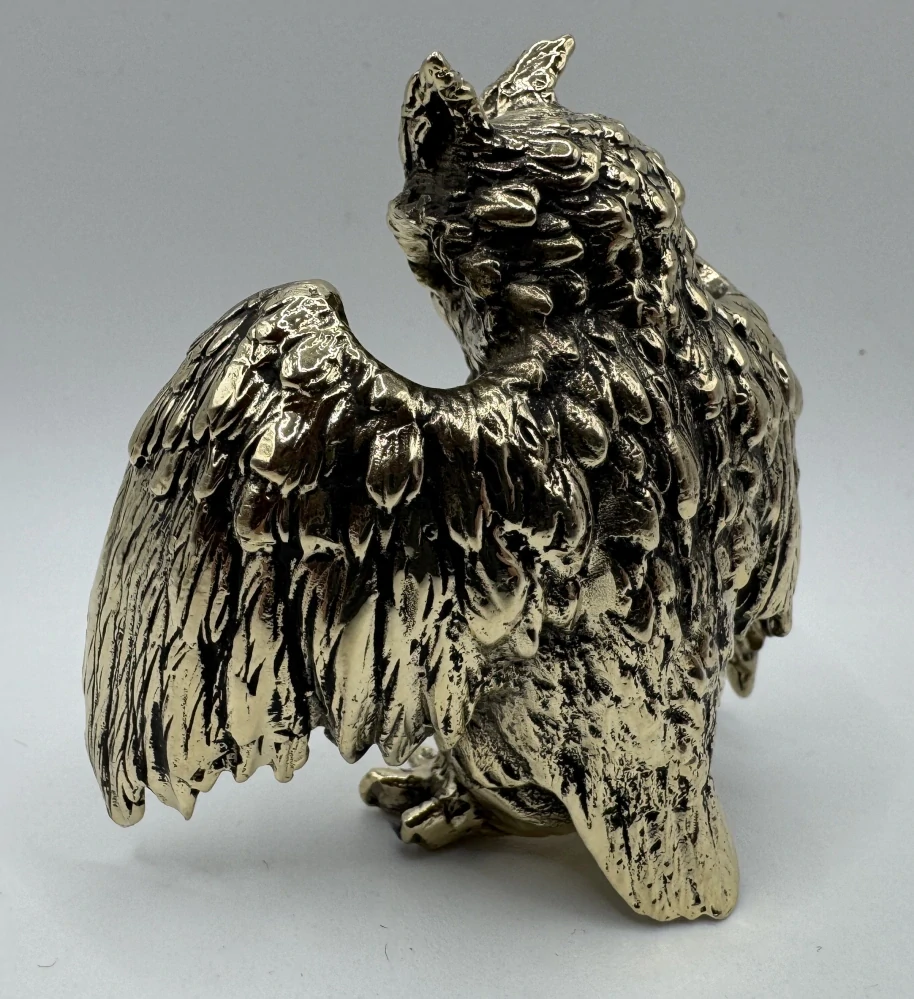 Garguláková Ivana: Sova velká