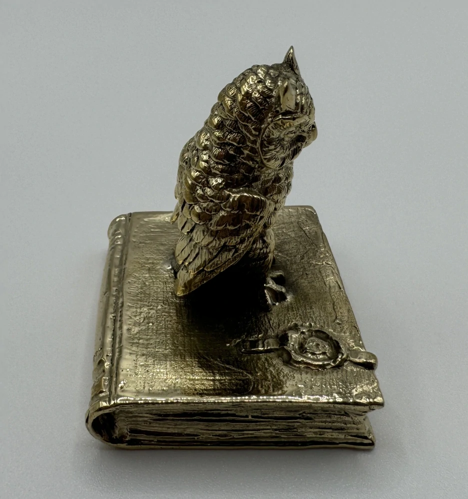 Garguláková Ivana: Sova na knize