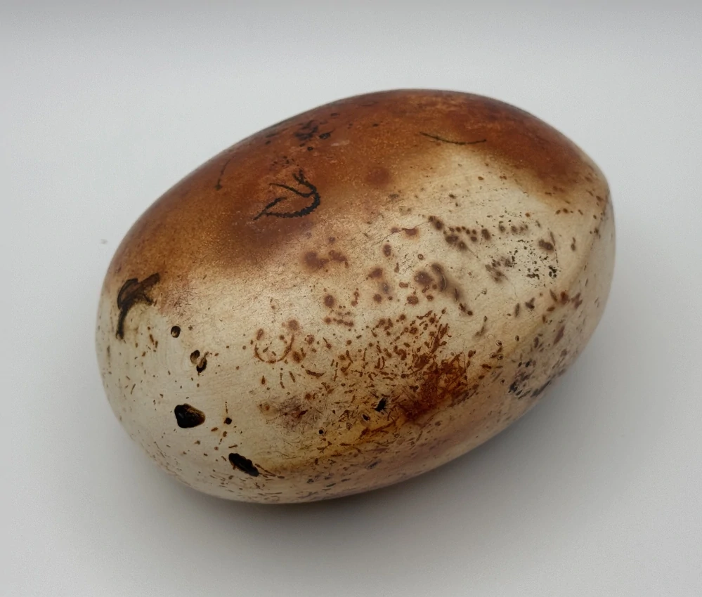 Bašková Štěpánka: Kámen těžítko