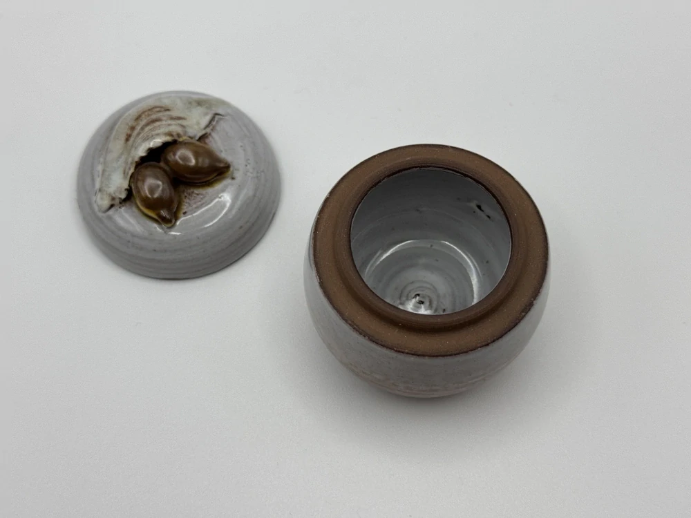 Hušáková Lilia: Dóza s šípky