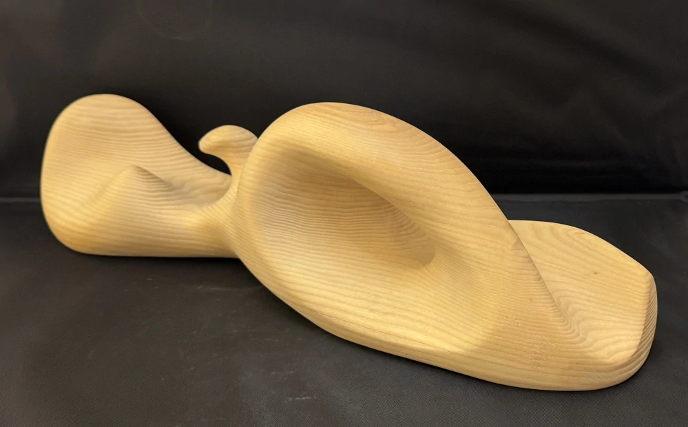 Patřičný Martin: Na břehu s mládětem