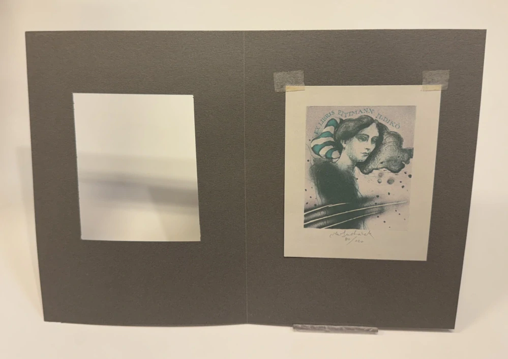 Suchánek Vladimír: Pittman Ildikó