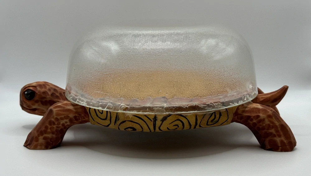 Zedník Tomiš: Želva