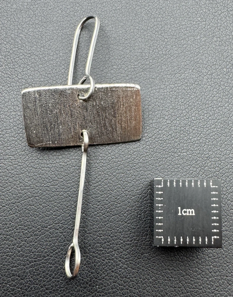 Lavičková Hana: Náušnice