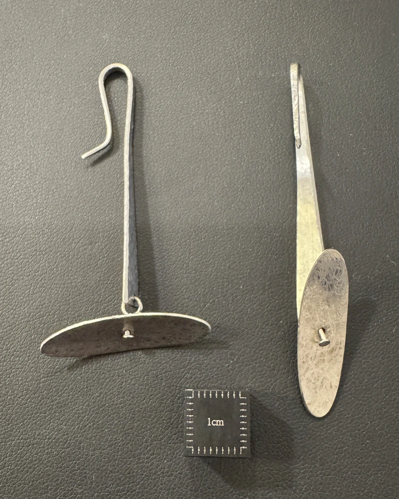 Lavičková Hana: Náušnice