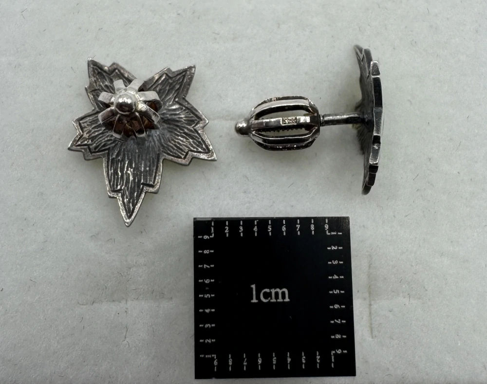 Mašková Zuzana: Náušnice - Vinné listy