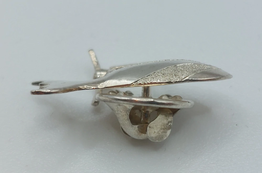 Ebermannová Hana: Odznak - Vzducholoď