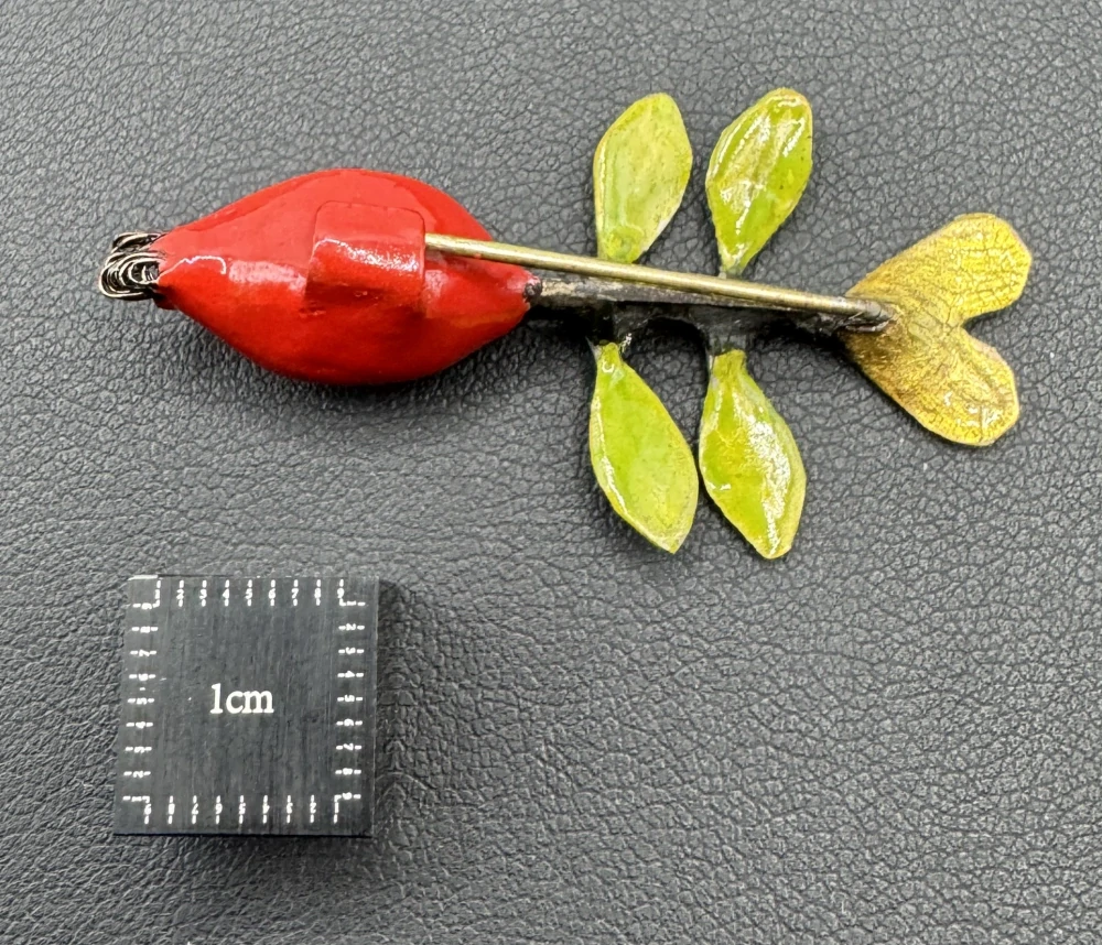 Novotná Veronika: Brož - Šípek