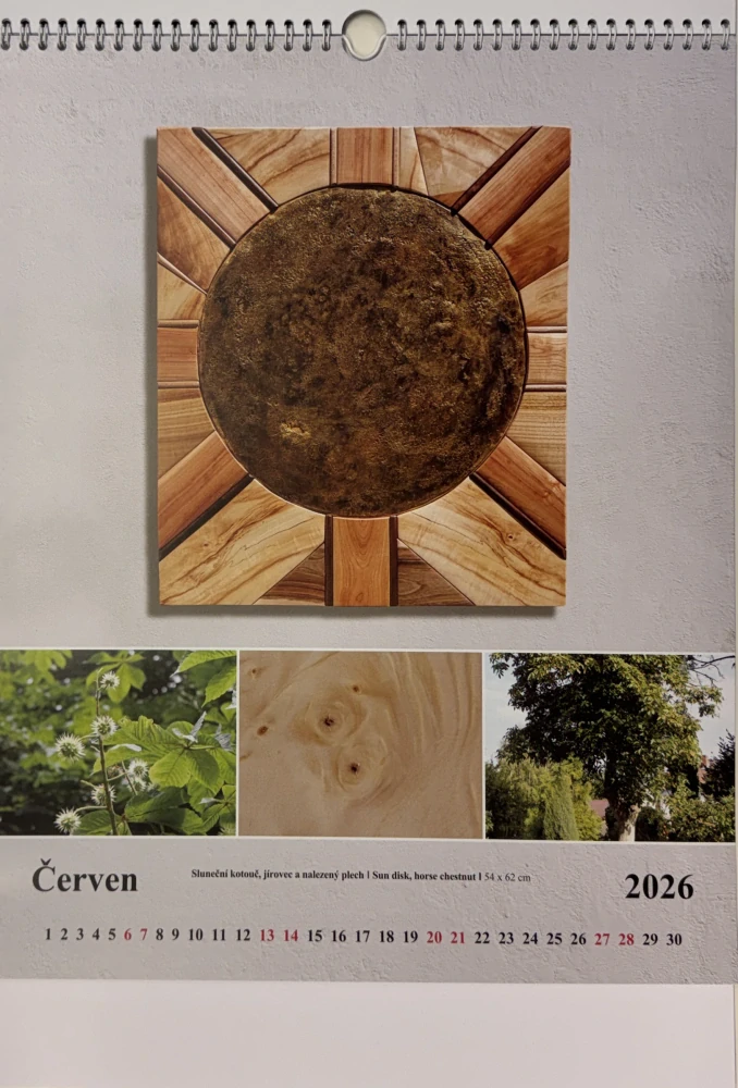 Patřičný Martin: Kalendář 2026