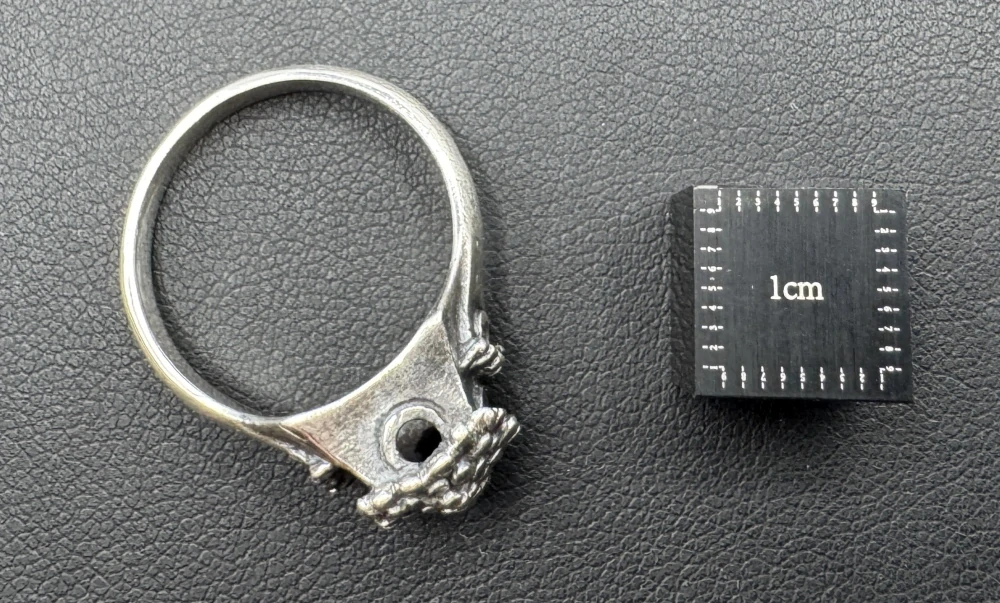 Mašková Zuzana: Prsten - Šest oken