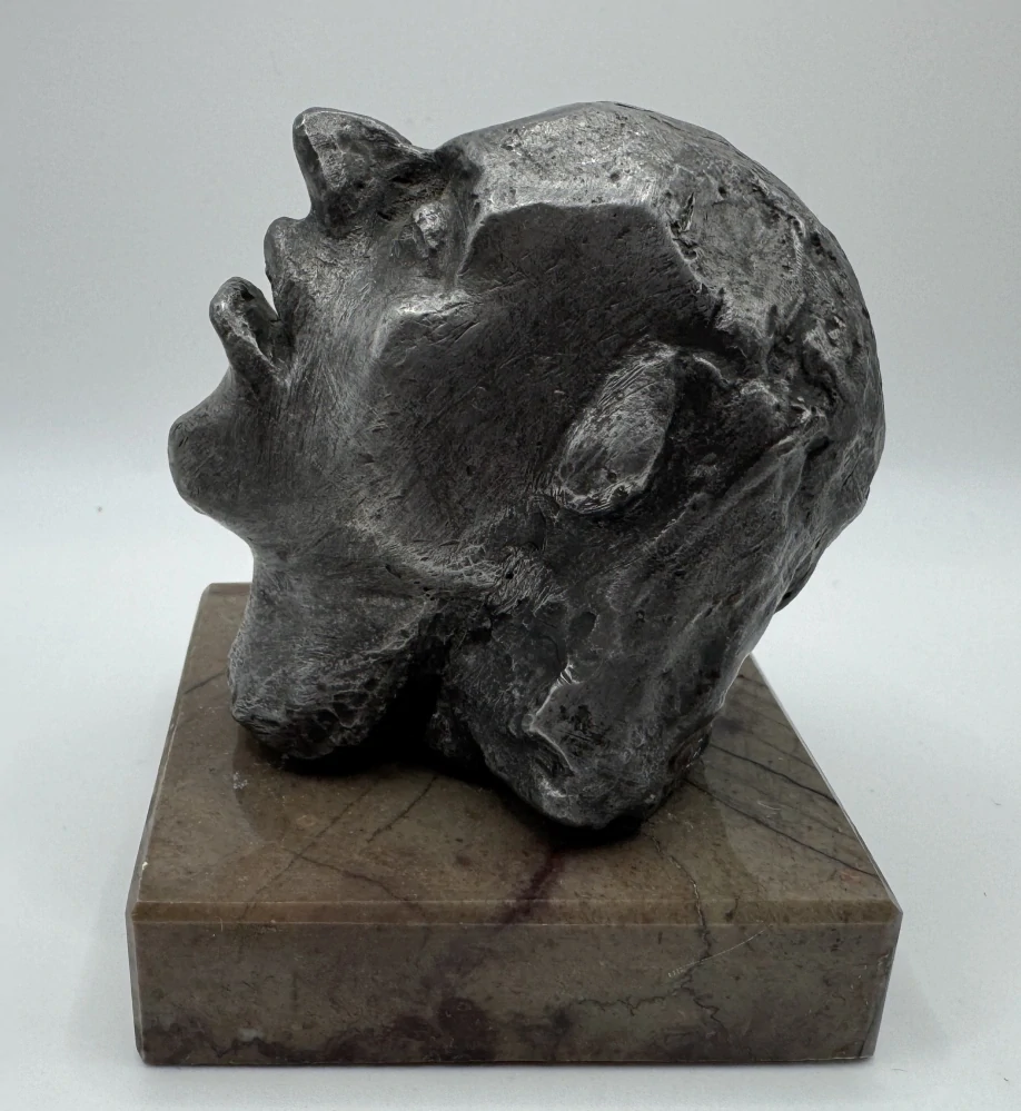 Sukupová Alena: Hlava