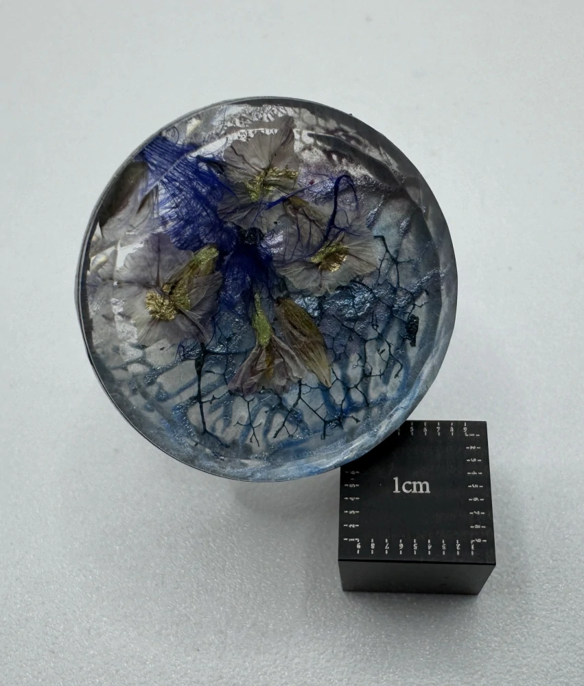 Machová Zuzana: Prsten XVI