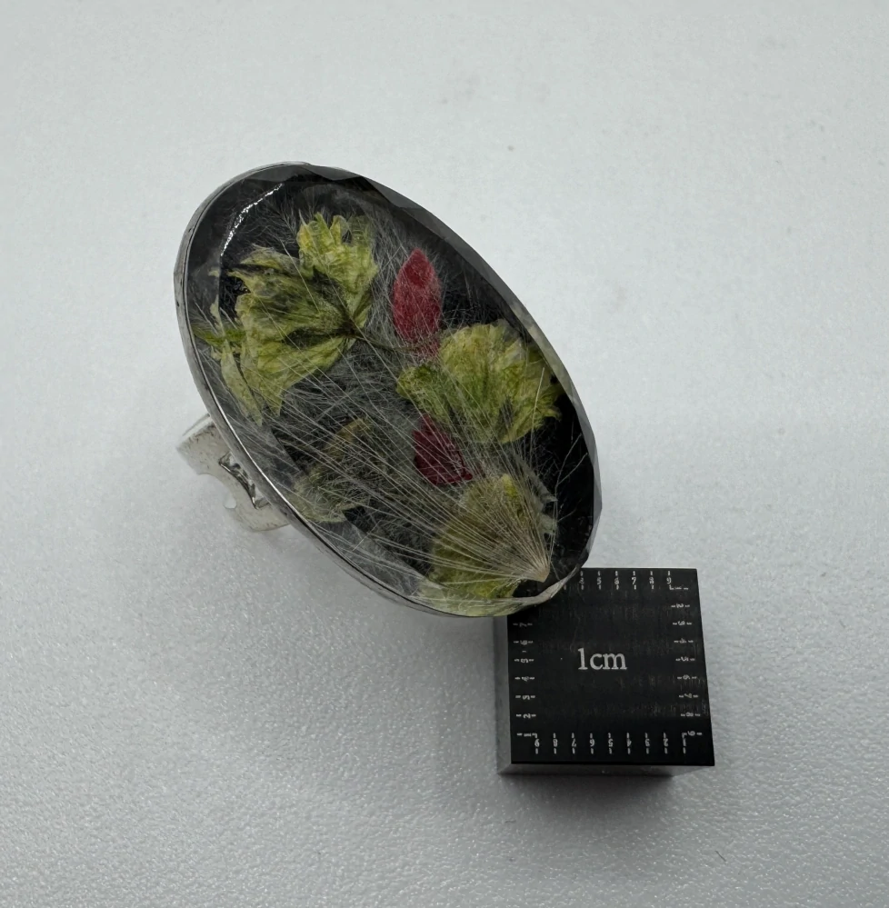 Machová Zuzana: Prsten XXII