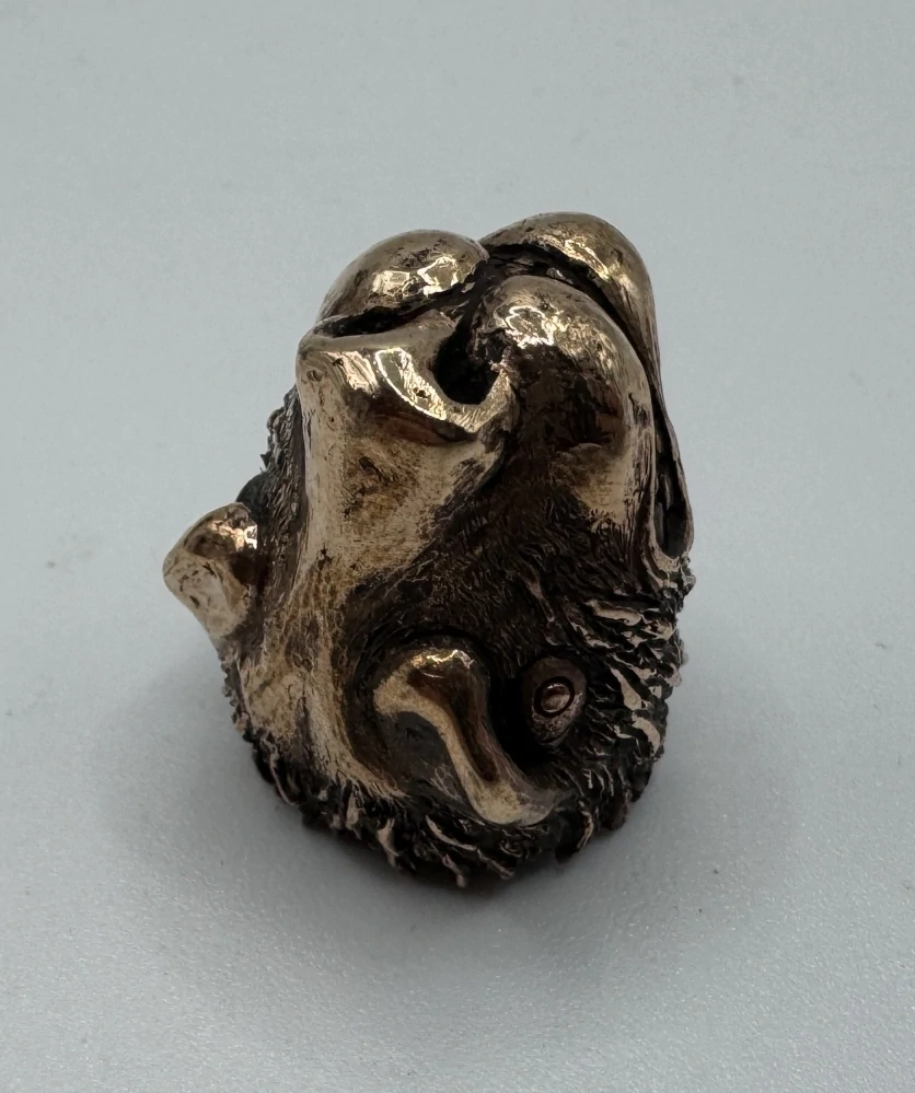 Mašek Vladislav: Náprstek - Lvice