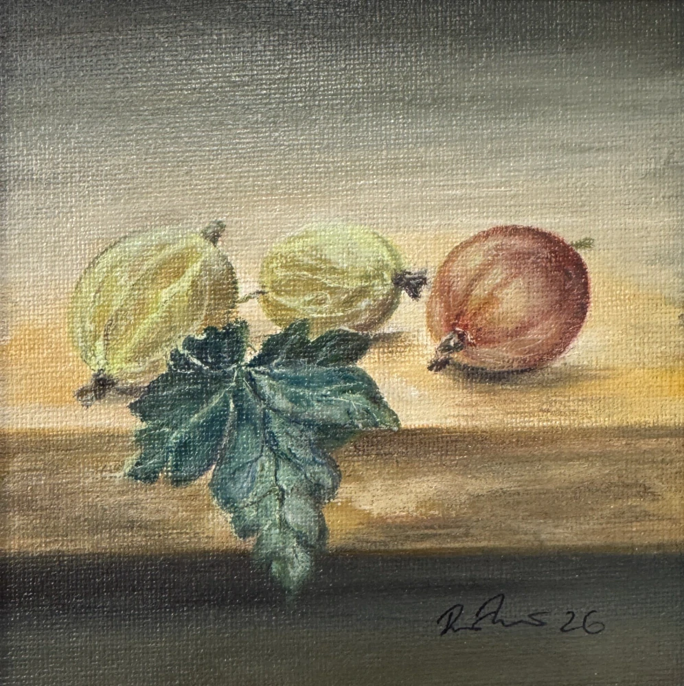 Mareš Rudolf: Angrešt