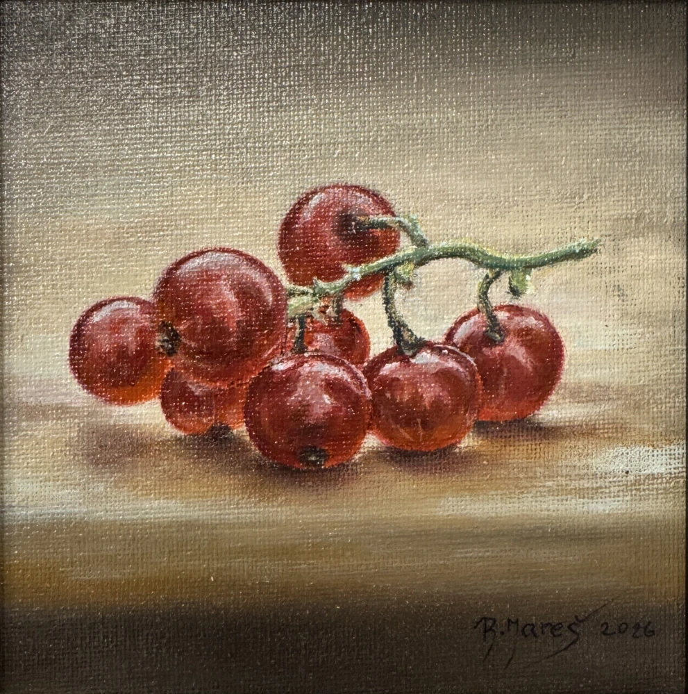 Mareš Rudolf: Červený rybíz