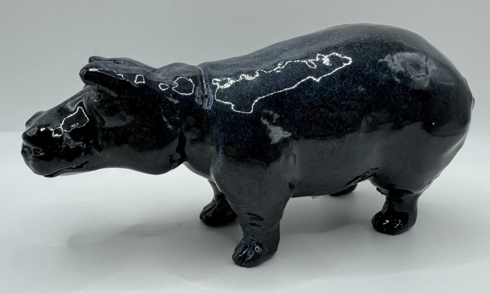 Pošva Jiří: Hroch