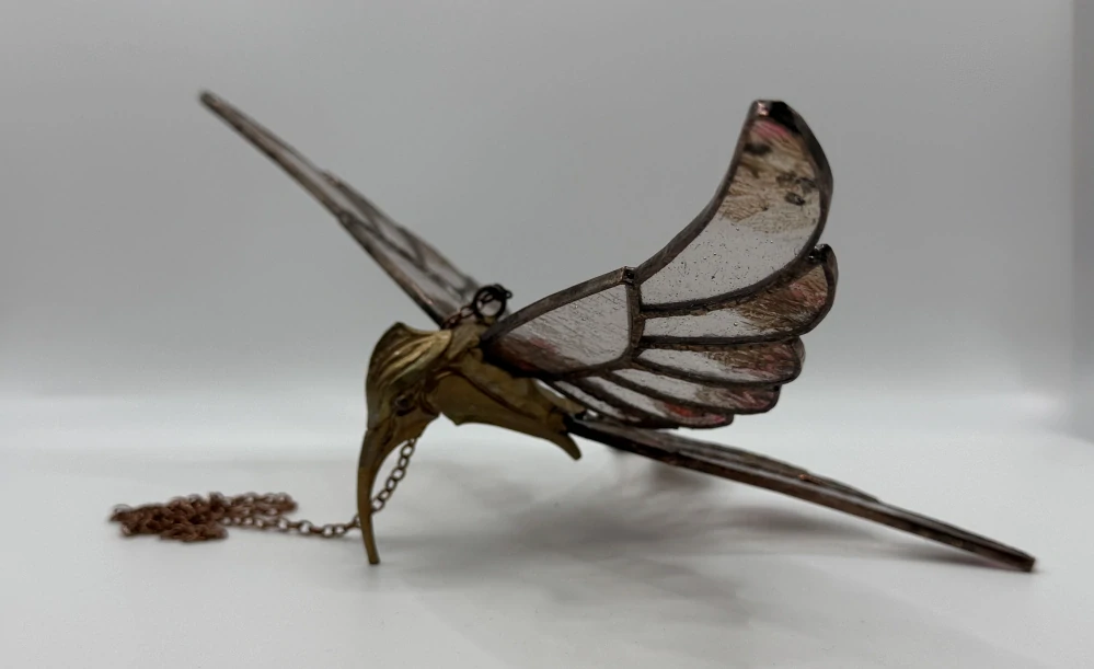 Machová Zuzana: Kolibřík závěsný