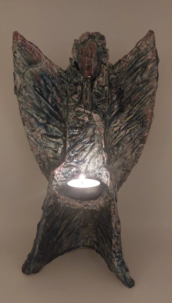 Nožičková Petra: Anděl - Světlonoš 